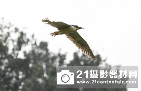 诚意长焦挂机头 腾龙70-210mm F/4 Di VC USD 测评