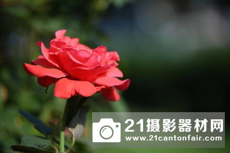 诚意长焦挂机头 腾龙70-210mm F/4 Di VC USD 测评