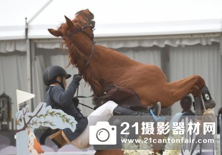 体验轻火箭的威力 适马100-400mm C测评