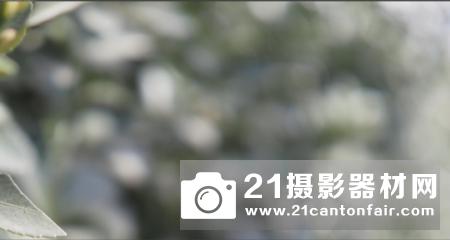 样张赏析奥林巴斯F12PRO21PROPRO1PRO镜头评测