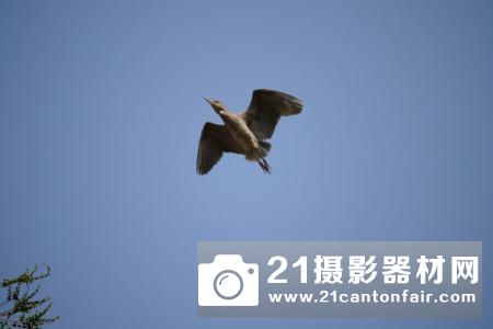 M43新皇即位 松下GH5详细评测