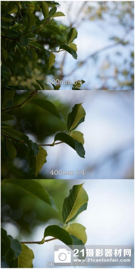 佳能EF 200-400 f/4 L IS USM试用评测