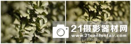 新龙炮降临 腾龙SP 70-200/2.8 G2测评