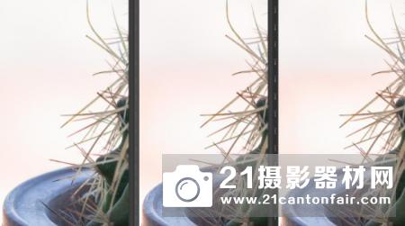 爱上梦幻般的焦外 索尼FE 100mm STF镜头评测