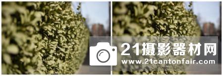 新龙炮降临 腾龙SP 70-200/2.8 G2测评