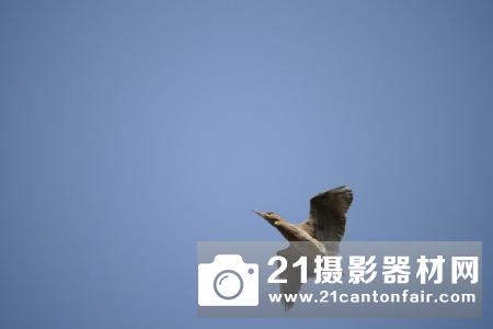 M43新皇即位 松下GH5详细评测