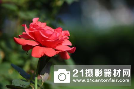 诚意长焦挂机头 腾龙70-210mm F/4 Di VC USD 测评