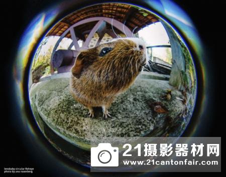 鱼眼看世界 Lensbaby Circular Fisheye试用报告