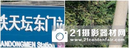 新一代平民大炮登场 尼康200-500/5.6测评