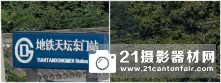 新一代平民大炮登场 尼康200-500/5.6测评