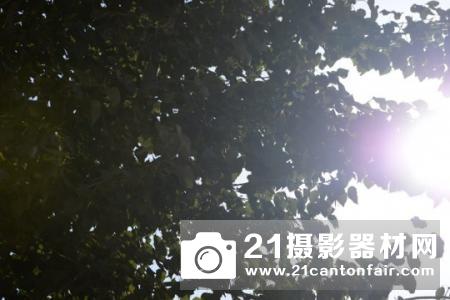 新一代平民大炮登场 尼康200-500/5.6测评