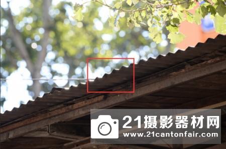 新一代平民大炮登场 尼康200-500/5.6测评
