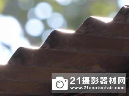 新一代平民大炮登场 尼康200-500/5.6测评