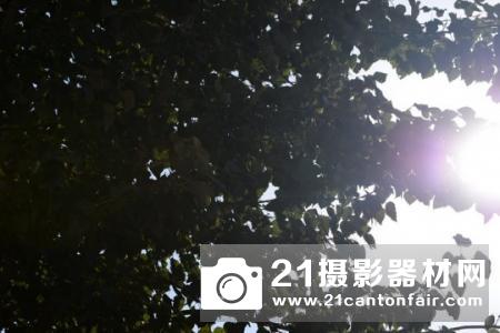 新一代平民大炮登场 尼康200-500/5.6测评