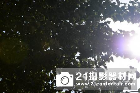 新一代平民大炮登场 尼康200-500/5.6测评