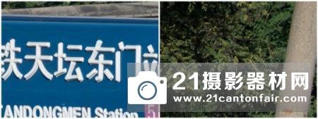 新一代平民大炮登场 尼康200-500/5.6测评