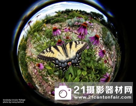 鱼眼看世界 Lensbaby Circular Fisheye试用报告