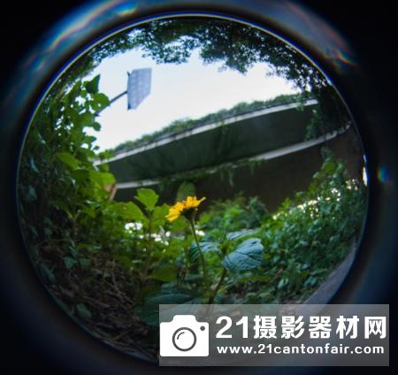 鱼眼看世界 Lensbaby Circular Fisheye试用报告