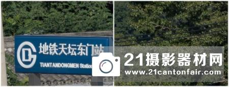 新一代平民大炮登场 尼康200-500/5.6测评