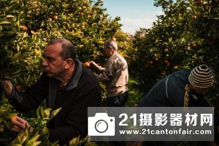 2019年索尼世界摄影大赛全部奖项揭晓 两位中国摄影师获奖作品引热议