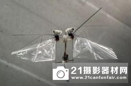 荷兰研发模仿昆虫飞行的机器人