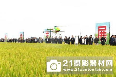 南方水稻困局，无人机飞防行业洗牌在所难免！