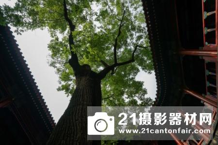 助力4D对焦 索尼16-35/2.8ZA II试用