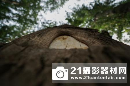 助力4D对焦 索尼16-35/2.8ZA II试用