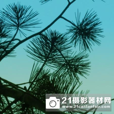 远近尽在掌握 佳能 SX720 HS评测