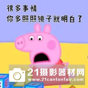 啥是佩奇拍摄地是怎么回事？