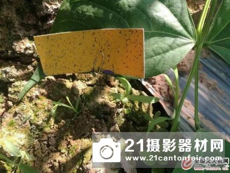 无人机植保飞防基本技术总结