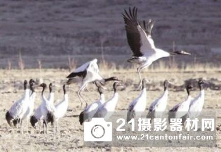 极飞 X 空间是什么？先给你讲讲一面墙的故事