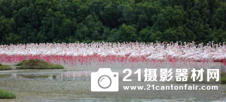 台湾天空飞行科技无人机销往中东海湾国家