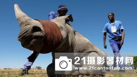 无人机南非追踪非法捕猎犀牛